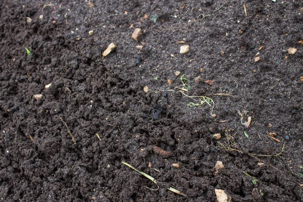 Bahçede gevşek siyah toprak yakın çekim
