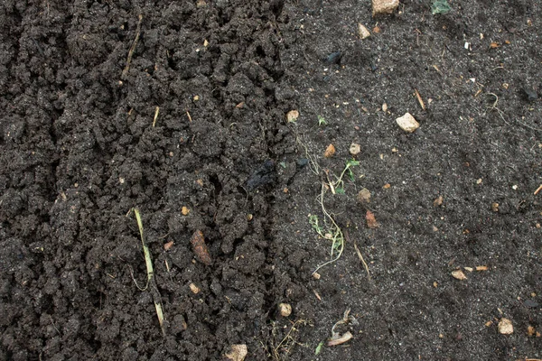 Bahçede gevşek siyah toprak yakın çekim