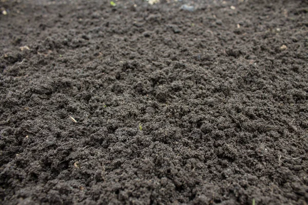 Tierra Negra Suelta Cerca Jardín — Foto de Stock