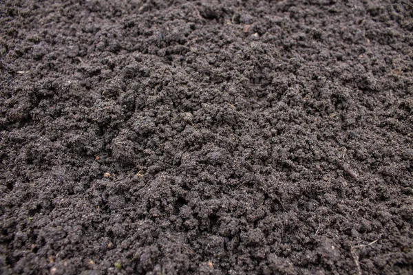 Loose black earth close-up in the garden