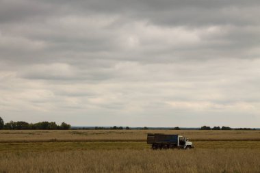 Olgun çavdar ve süpürücü silueti ve bulutlu gökyüzü bir alan