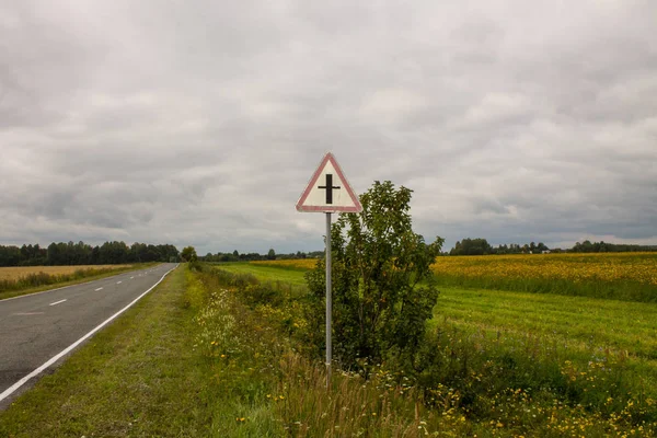 A large field with yellow flowers and a road sign near the road