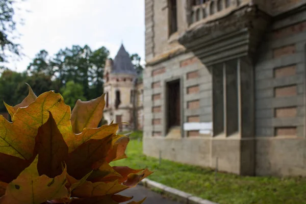 Herbst Orange Ahornblätter Nahaufnahme Auf Dem Hintergrund Einer Alten Burg — Stockfoto