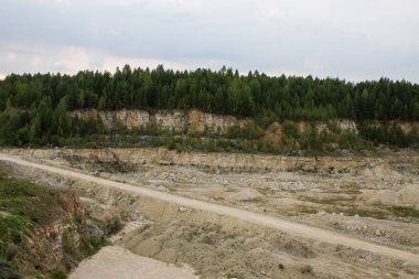 Eski kireçtaşı ocağı genç orman ile büyümüş