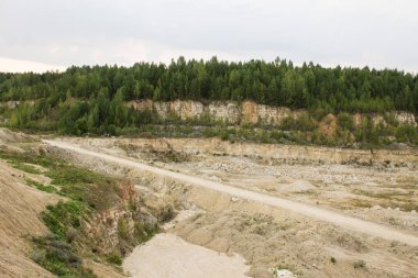 Eski kireçtaşı ocağı genç orman ile büyümüş