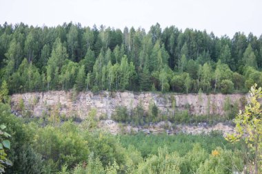 Eski kireçtaşı ocağı genç orman ile büyümüş