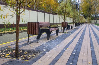 Bulutlu bir sonbahar gününde parkta ıslak ahşap bir bank.