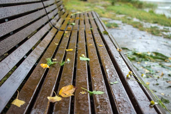 Banc Bois Humide Dans Parc Par Une Journée Automne Nuageuse — Photo