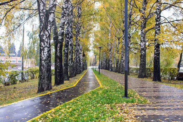 Natte Fietspad Het Park Een Regenachtige Dag — Stockfoto