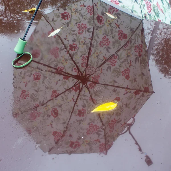 曇りの秋の日に雨の中で反射とウェットピンポンテーブルの上に光の傘 — ストック写真