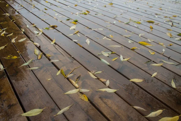 Planches Humides Sur Aire Jeux Dans Parc Jour Pluie — Photo