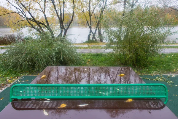 Bulutlu Bir Sonbahar Gününde Parkta Yağmurda Yansıyan Islak Masa Tenisi — Stok fotoğraf
