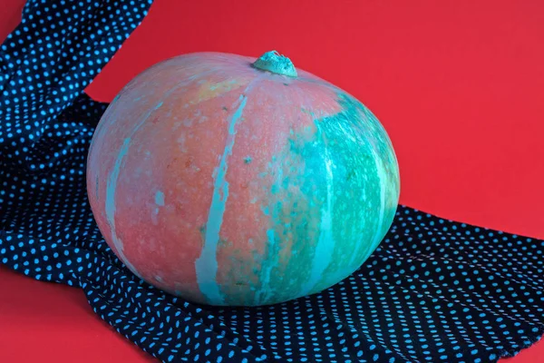 Pumpkin Bright Red Background Close — Stock Photo, Image