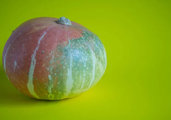 Orangefarbener Kürbis Auf Hellem Hintergrund Nahaufnahme — Stockfoto