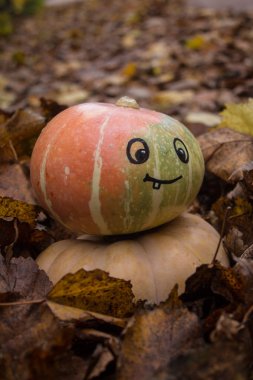 Sonbahar yaprakları arasında gülümseyen yüzü boyalı bir balkabağı.