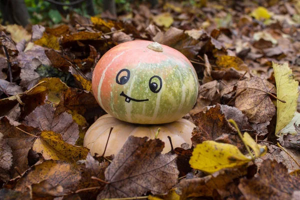 Une Citrouille Avec Visage Souriant Peint Parmi Les Feuilles Automne — Photo