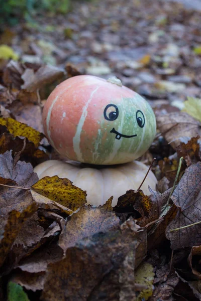 Uma Abóbora Com Rosto Sorridente Pintado Entre Folhas Outono — Fotografia de Stock