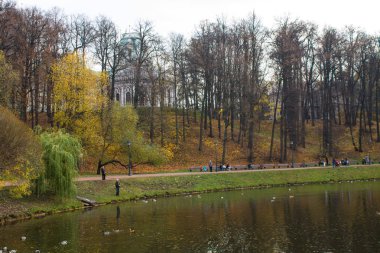 Moskova Rusya 'daki sararmış ağaçların arasında göletin üzerindeki Tsaritsyno Parkı' nda sonbahar manzarası