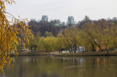 Moskova Rusya 'daki sararmış ağaçların arasında göletin üzerindeki Tsaritsyno Parkı' nda sonbahar manzarası