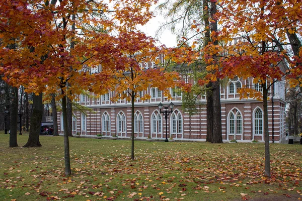 Moskva Ryssland Oktober 2019 Tegelrosa Palats Tsaritsyno Park Höstdagen — Stockfoto
