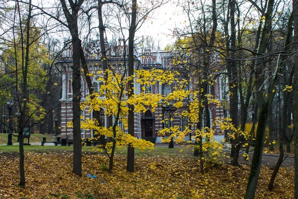 Moskou Rusland Oktober 2019 Bakstenen Roze Paleis Tsaritsyno Park Herfstdag — Stockfoto