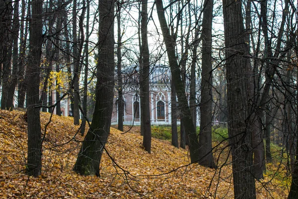Москва Росія Жовтень 2019 Цегляний Рожевий Палац Парку Царицино Восени — стокове фото