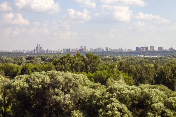 在晴朗的阳光明媚的夏日 绿树成荫 绿树成荫 俄罗斯莫斯科现代住宅的全景 — 图库照片