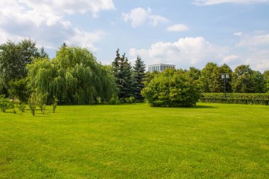 Moskova 'daki Poklonnaya Tepesi' nde mavi bulutlu bir gökyüzüne karşı parlak yeşil söğütler ve düzgünce budanmış çimlerle bir doğa parkı.