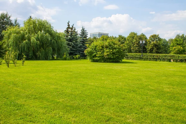 Parque Natural Con Sauces Verdes Brillantes Césped Cuidadosamente Recortado Contra — Foto de Stock