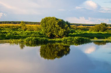 Pastoral landscape-Klyazma river Bank with green trees and grass against a blue cloudy sky with reflections in the water and space for copying clipart