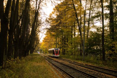 Tramvay bir sonbahar günü İzmailovsky Parkı 'nda ağaçların arasında demiryolu ile seyahat ediyor ve Moskova Rusya' da uzayı kopyalıyor.