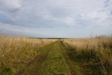 Geniş solmuş çimen tarlası ve bulutlu bir gökyüzü ve kopyalanacak yer güneşli bir sonbahar gününde.
