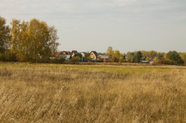 Geniş solmuş çimen tarlası ve bulutlu bir gökyüzü ve kopyalanacak yer güneşli bir sonbahar gününde.