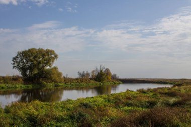 Nehir kıyısında yansıması ve bulutlu gökyüzü olan büyük yeşil bir ağaç. Sonbahar manzarası ve kopyalama alanı