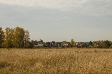 Geniş solmuş çimen tarlası ve bulutlu bir gökyüzü ve kopyalanacak yer güneşli bir sonbahar gününde.
