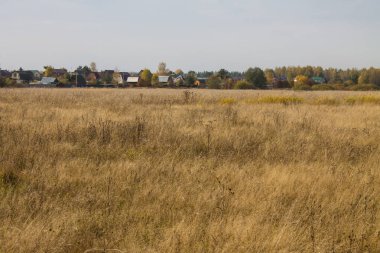 Geniş solmuş çimen tarlası ve bulutlu bir gökyüzü ve kopyalanacak yer güneşli bir sonbahar gününde.