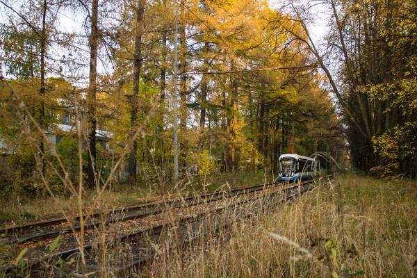 Поїздка Залізницею Ізмайловському Парку Серед Жовтуватих Дерев Осіннього Дня Копіювання — стокове фото
