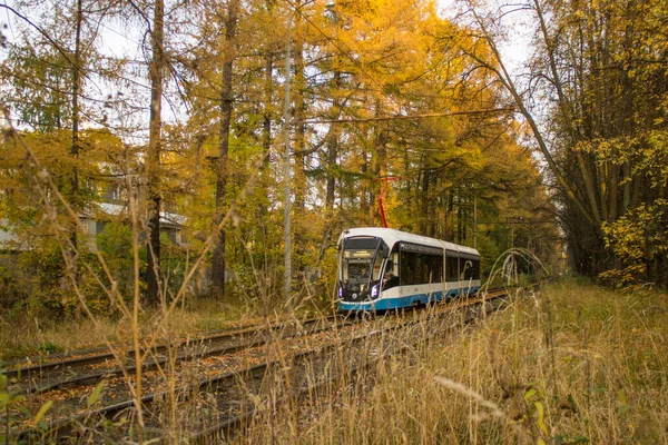 Tranvía Que Viaja Tren Parque Izmailovsky Entre Los Árboles Amarillentos — Foto de Stock