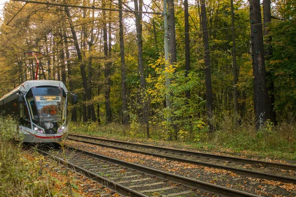 Tramwajem Jadącym Koleją Izmailovsky Park Wśród Żółknących Drzew Jesienny Dzień — Zdjęcie stockowe