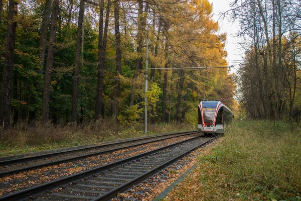 Bonde Viajando Trem Parque Izmailovsky Entre Árvores Amareladas Dia Outono — Fotografia de Stock