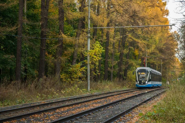 Tram Voyageant Train Dans Parc Izmailovsky Parmi Les Arbres Jaunissant — Photo