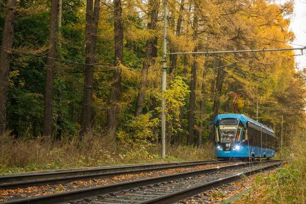 Bonde Viajando Trem Parque Izmailovsky Entre Árvores Amareladas Dia Outono — Fotografia de Stock