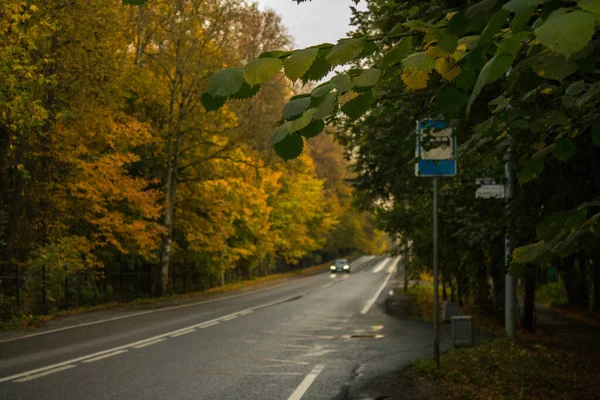 Dlážděná Silnice Auto Podzimním Parku Žlutými Stromy Říjnový Den — Stock fotografie