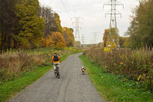 Ένας Άνδρας Καβάλα Ένα Ποδήλατο Και Ένα Σκυλί Στο Δρόμο — Φωτογραφία Αρχείου