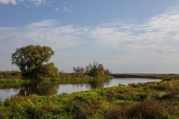 Nehir kıyısında yansıması ve bulutlu gökyüzü olan büyük yeşil bir ağaç. Sonbahar manzarası ve kopyalama alanı