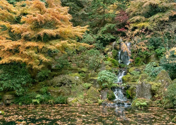 Portland, Oregon-2018-11-20-japonská čajová zahrada — Stock fotografie