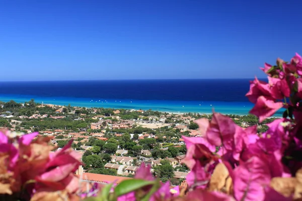 Begonvil ile monte Costa Rei plaj görünümünü