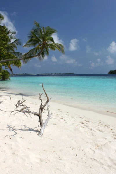 Playa Biyadhoo Cerca Del Antiguo Muelle Maldivas —  Fotos de Stock