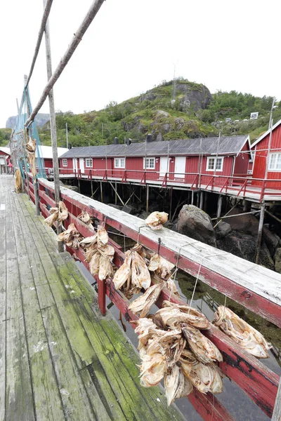 Nusfjord/Norveç - 08 03 2018: Nusfjord'daki balıkçı kabinleri
