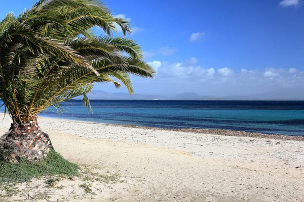 Foto Impressionante Praia Maladroxia Localizada Ilha Sant Antioco Sardenha Praia — Fotografia de Stock